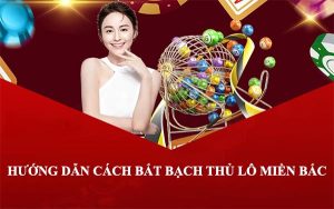 Hướng dẫn cách bắt bạch thủ lô miền bắc